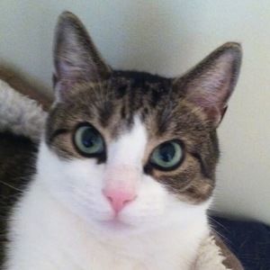 Meet your Posher, Naomi